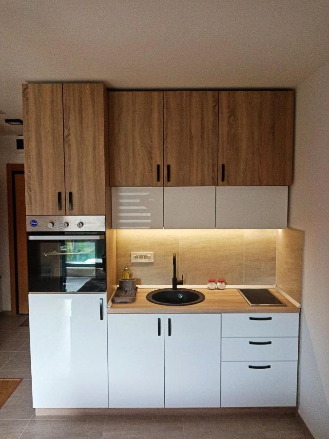 Studio Apartman Gorski Kristal Zlatibor Exteriér fotografie